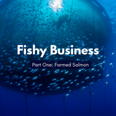 Fishy Business: Part One