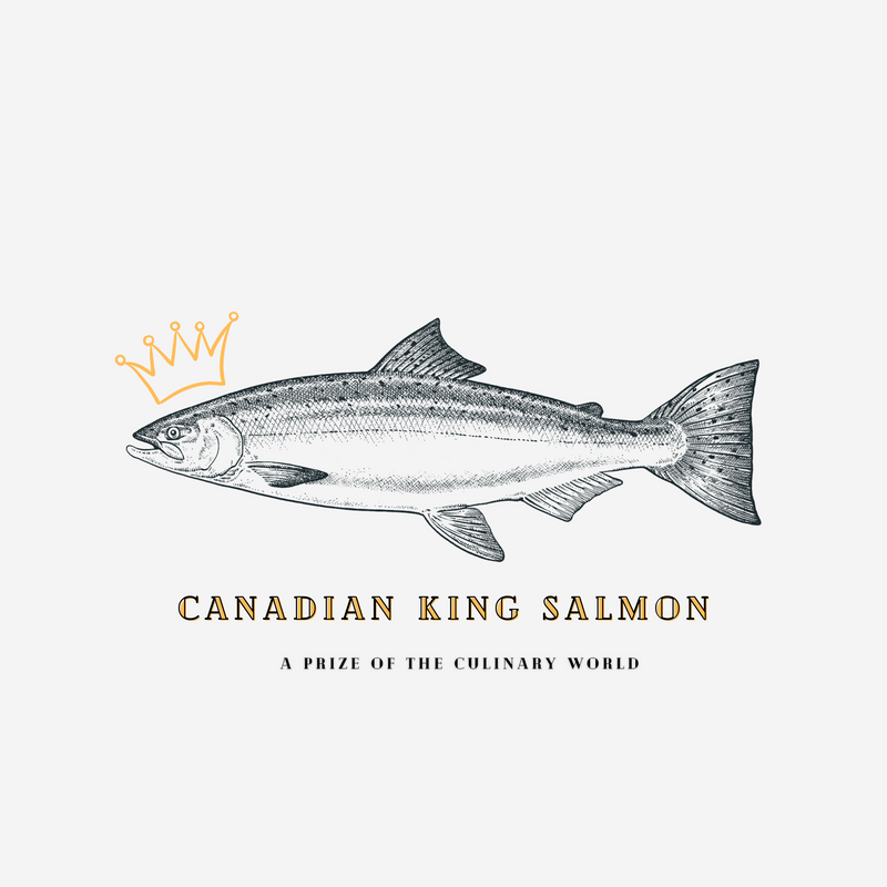 Canadian King Salmon