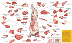 Beef — Side, Forequarter or Hindquarter, by weight