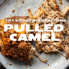 Pulled Camel