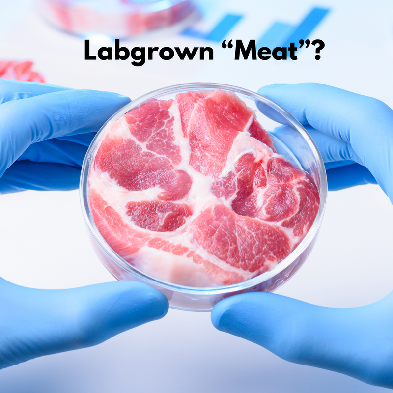 Lab-grown meat
