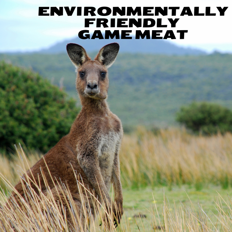 Game Meat Rabbit How is game meat ethical? | Sunshine Coast Organic Meats