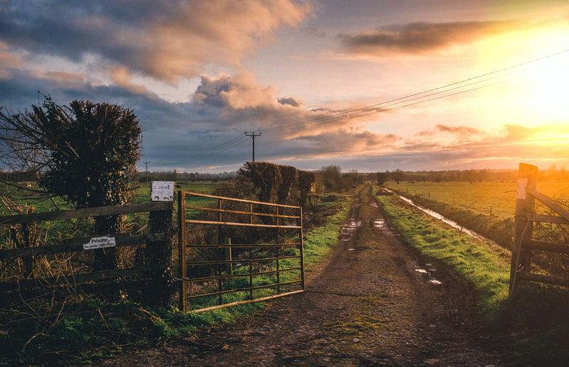 farm gate and the sunset