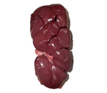 Beef Kidney Organic (Stock May Vary) (400g)